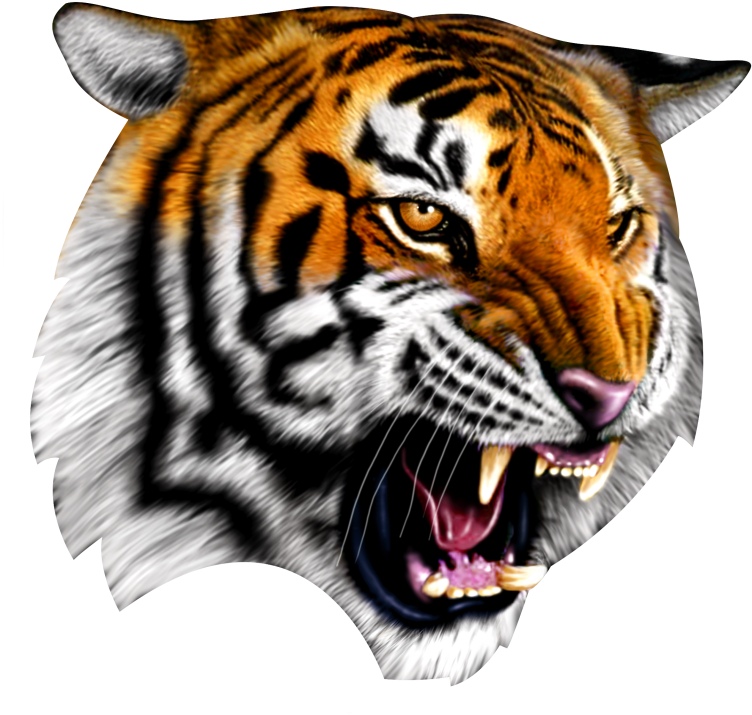 Cadworxlive Gives You Access To 30,000 Quality Peices - Tirecoverpro Striped Tiger Growling Spare Tire Cover (800x800)