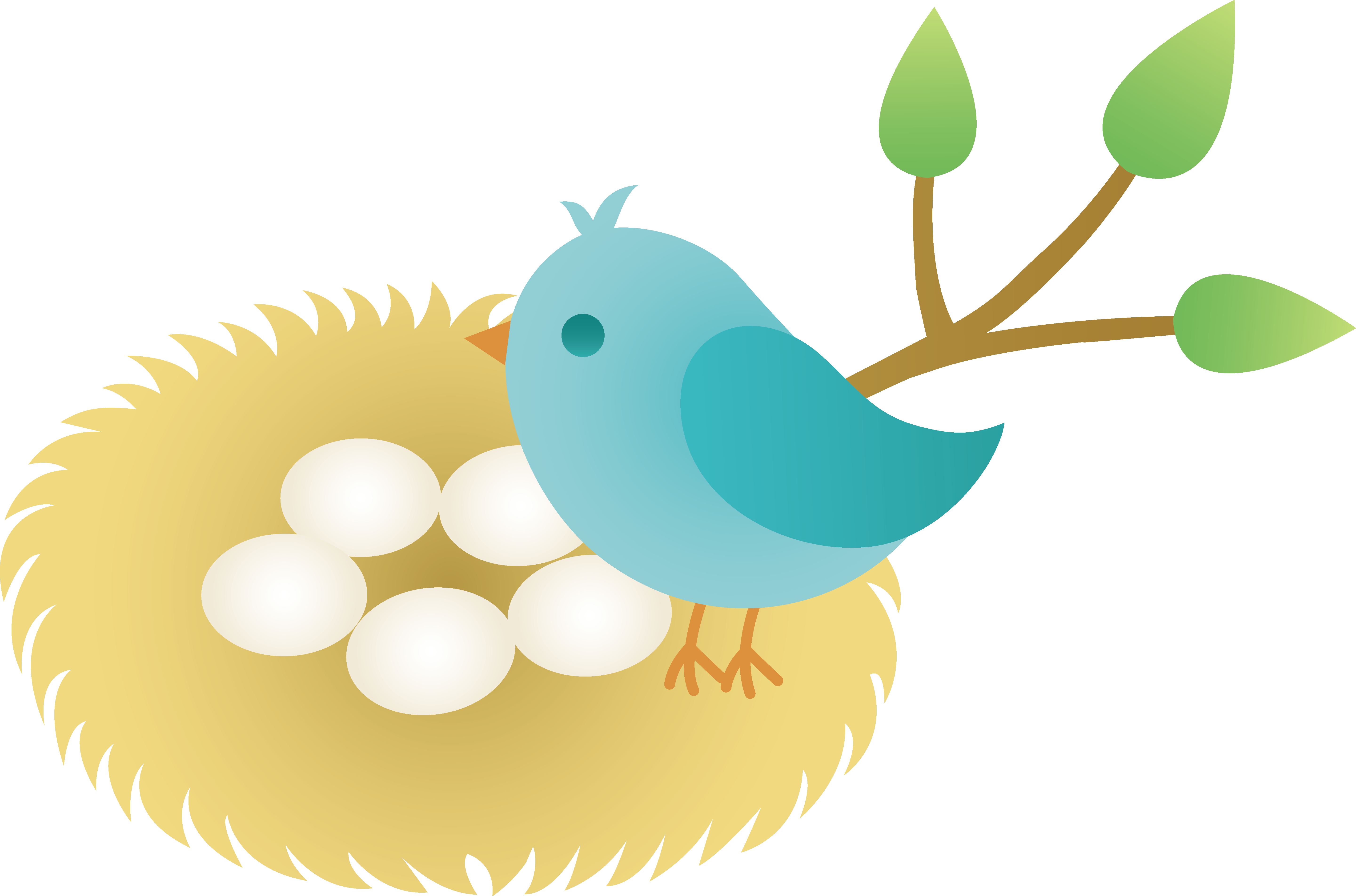 Spring Birds Clipart - Bird In Nest Clip Art (5762x3809)