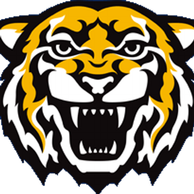 Durham Nativity - Tiger Mascot (400x400)
