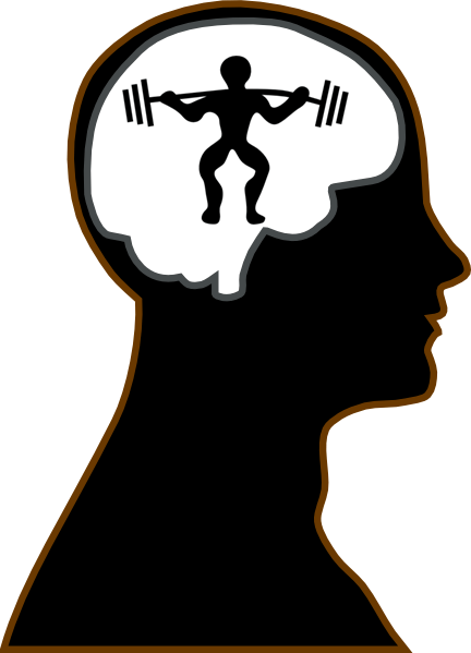 Mental Practice - Brain Of A Taurus (432x599)