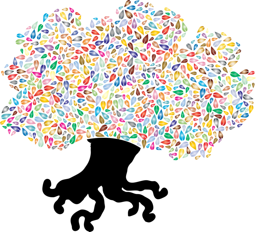 All Photo Png Clipart - Clip Art (827x750)