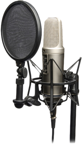 De Certaines Des Plus Grandes Marques Mondiales - Rode Nt 2a Microphone (500x500)