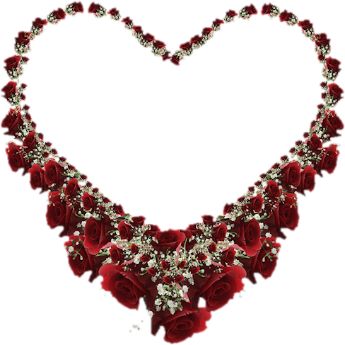 My Dn Family Of Friends, This Is Dedicated To Each - Animated Gifs Loves Rose (488x487)