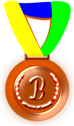 All Photo Png Clipart - Medal (528x750)