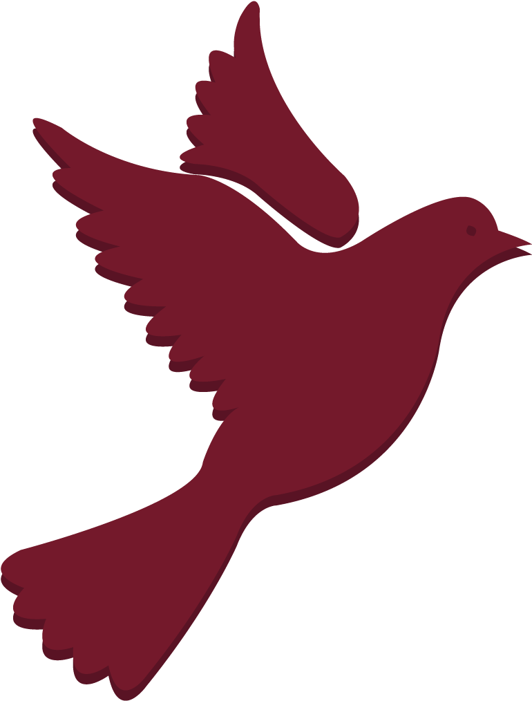 Doves Open Door Mission The Campaign Provides - Batizado (787x1031)