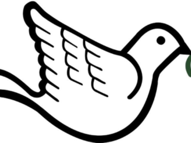 Realistic Clipart Dove - Dove With Olive Branch (640x480)