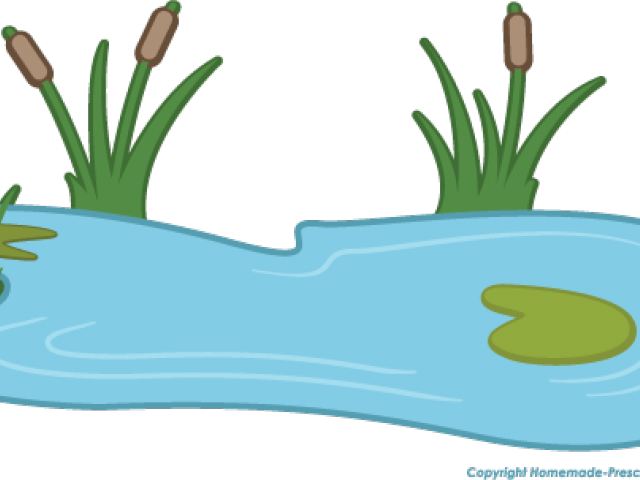 Lily Pad Clipart Pond Animal - Water Pond Pond Clipart (640x480)