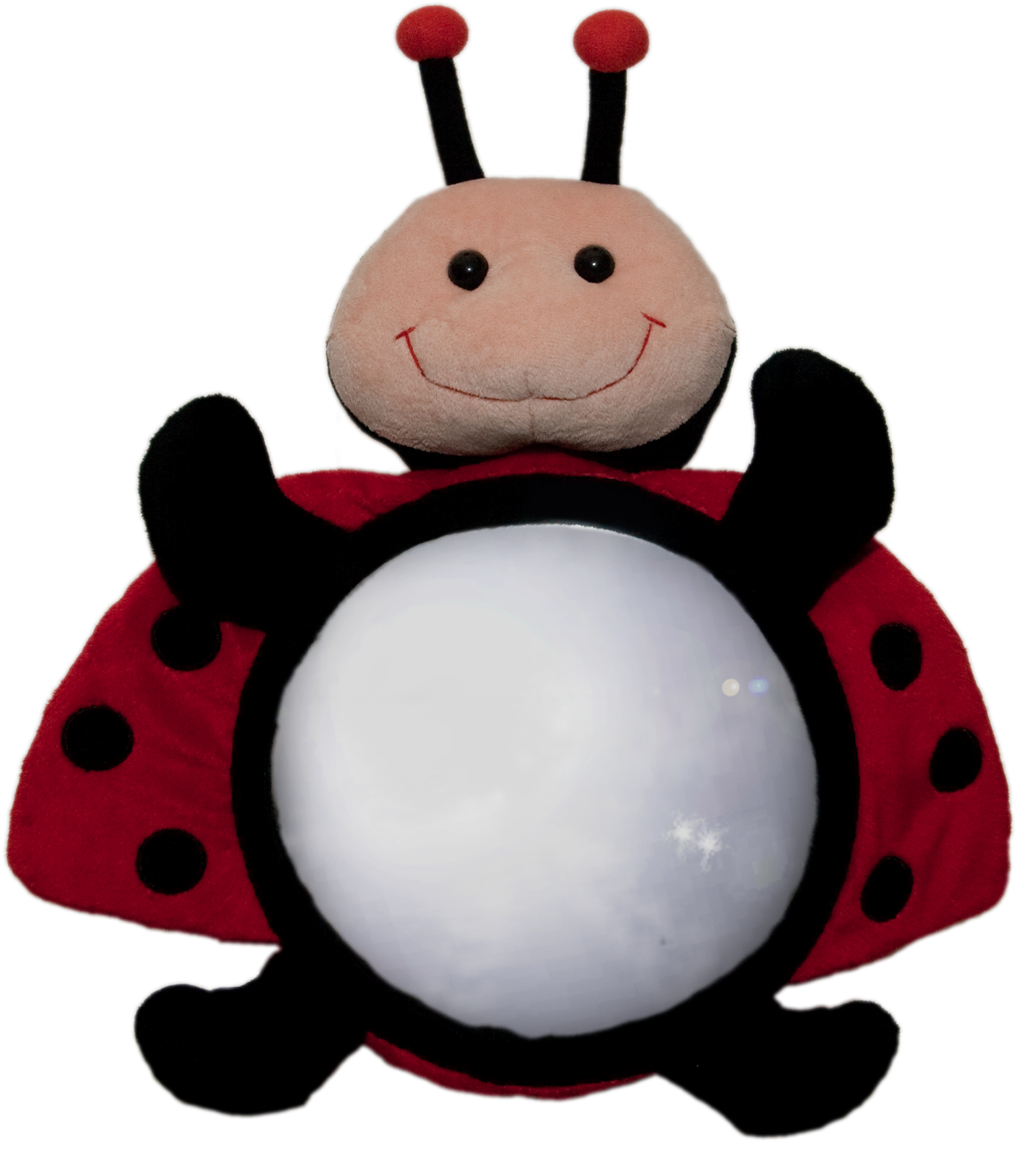 Luca Ladybug - Luca Ladybug Mirror (1619x1763)