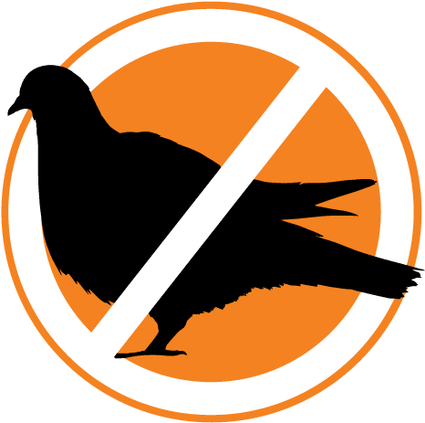 Residential Control Adelaide Guaranteed - Pigeon Silhouette (500x496)