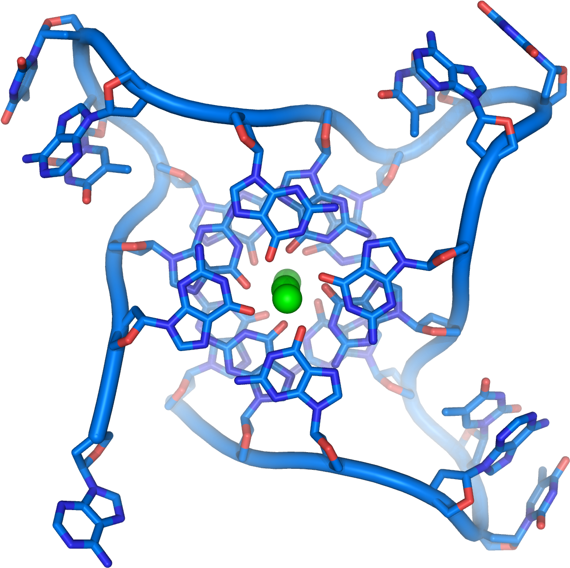 More Proof That Exercise Is The Fountain Of Youth - G Quadruplex (1316x1200)