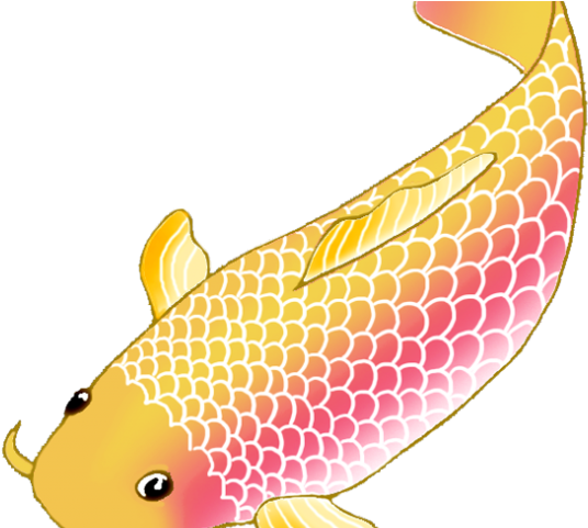 Fountain Clipart Koi Pond - Blue Koi Fish Illustration (640x480)