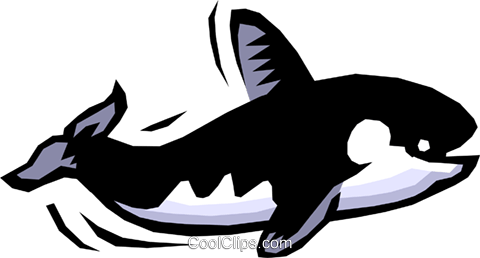 Killer Whale - Transparent Orca Swimming Gif (480x258)