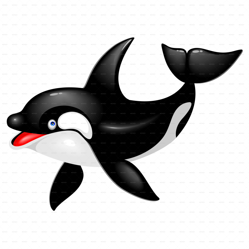 Orca Cartoon Clipart Killer Whale Cetacea - Killer Whale Cartoon Png (800x800)