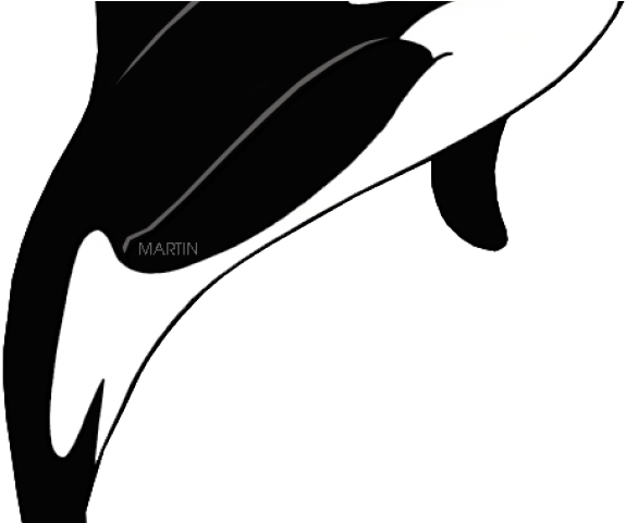 Mammal Clipart Killer Whale - Clip Art Black And White Killer Whale (640x480)