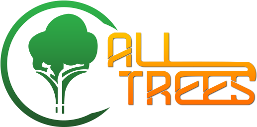 Are You Looking For Snow Removal Services In Casper, - All Trees Casper Wy (575x300)