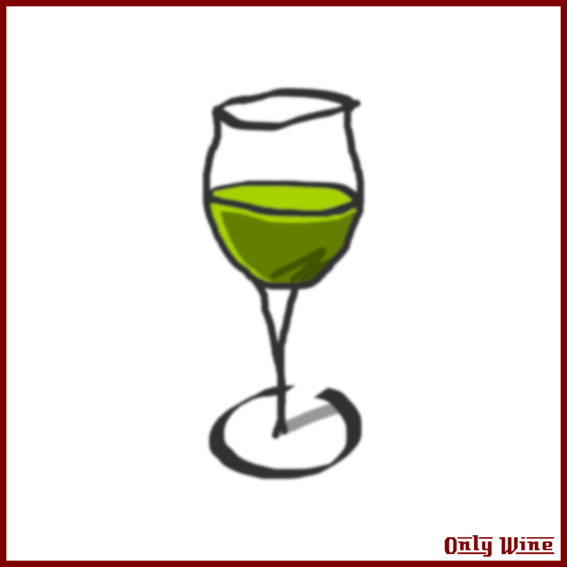 Alcohol, Ancient, Anniversary, Art, Beer, Bolgheri, - Mommy's Sippy Cup Throw Blanket (800x800)