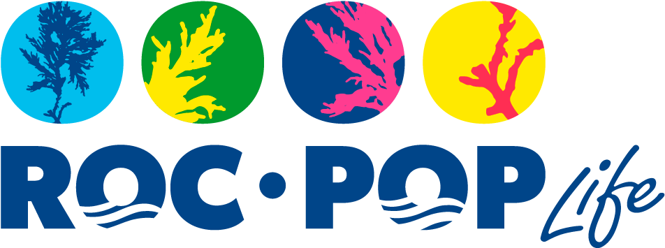 Rocpop-life Project - Portable Network Graphics (1000x380)