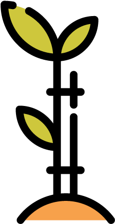 Green Spaces For Dc Is A Nonprofit Organization Advancing - Antioquia Department (800x512)