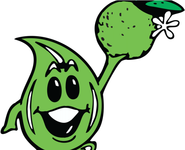 Juice Clipart Lime Juice - Juice Clipart Lime Juice (640x480)