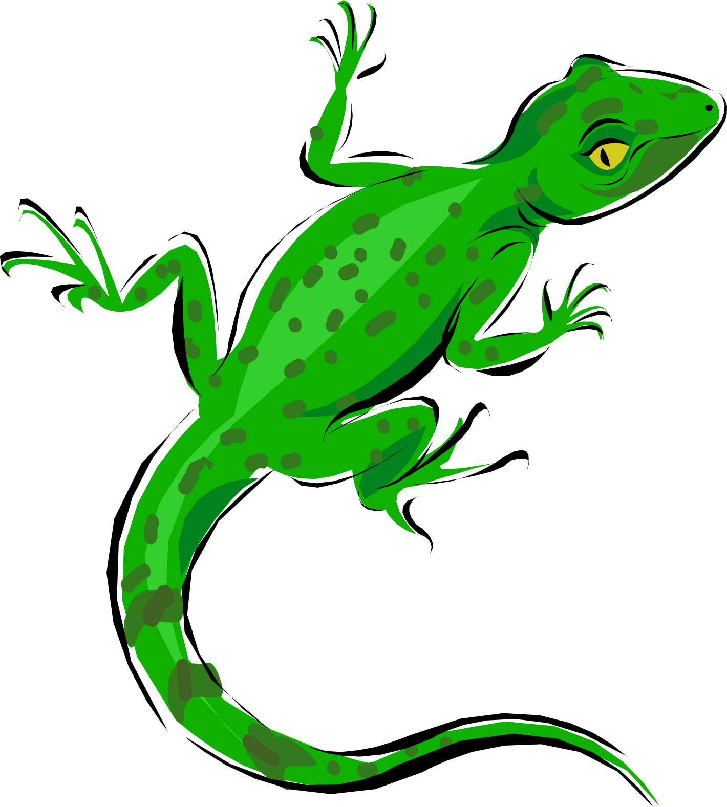 Green Iguana (1420x1577)
