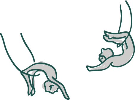 Your Vision Translated By Us Into An Event - Your Vision Translated By Us Into An Event (455x337)