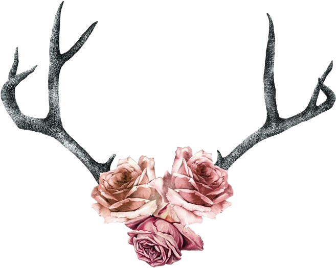Rose Roses Antler Boho Pink Flowers - Deer Antler Tattoo With Flowers (657x525)