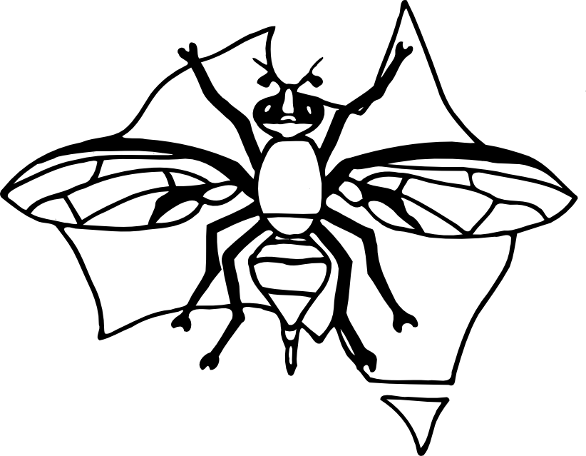 Drawing Insect Fruit Fly - Drawing Insect Fruit Fly (822x639)