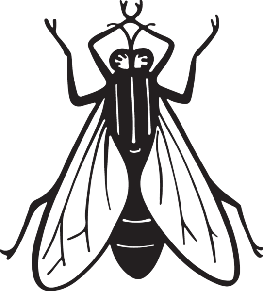 Fly Clipart Insect - Art Print: Pop Ink - Csa Images' Housefly, 12x12in. (542x600)
