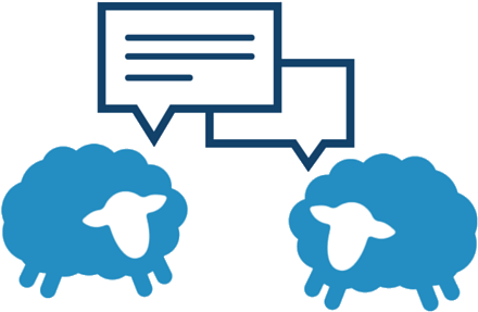 Flocknote Quizzes - Flocknote (500x300)