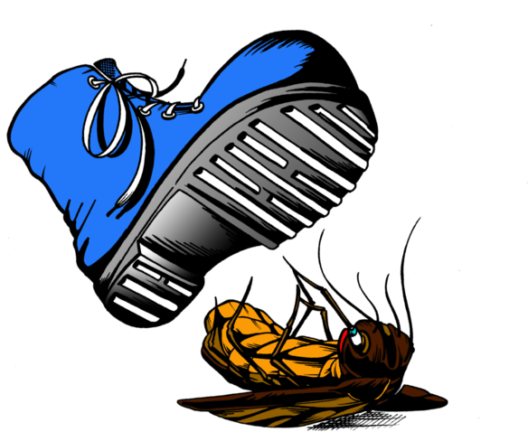 Bugs Clipart Squished - Squished Enterprises (651x503)