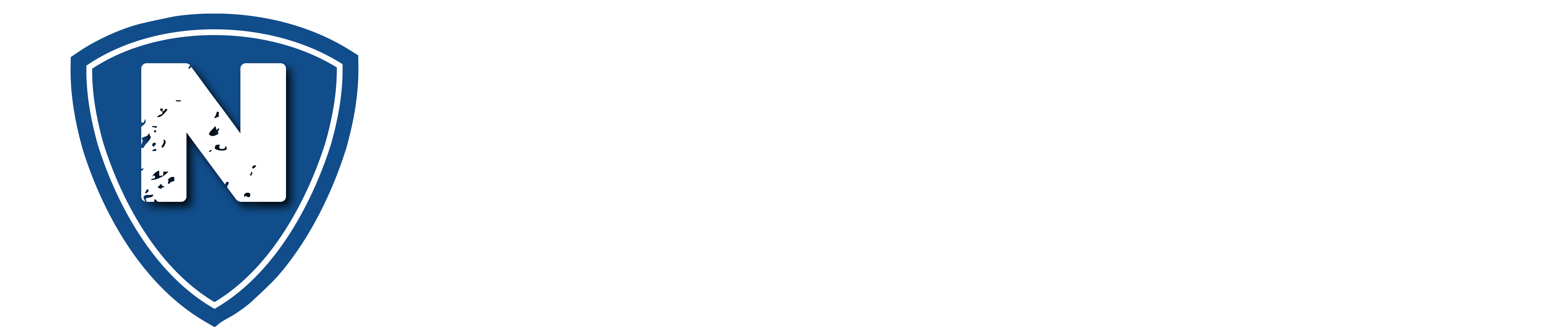 Inspiring The Next Generation Of Readers - Logo White News (4081x922)