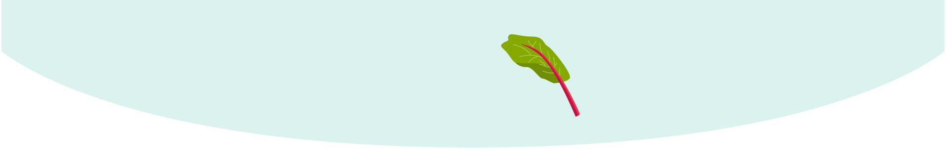 Your Baby Is The Size Of Rhubarb - Infant (1920x304)