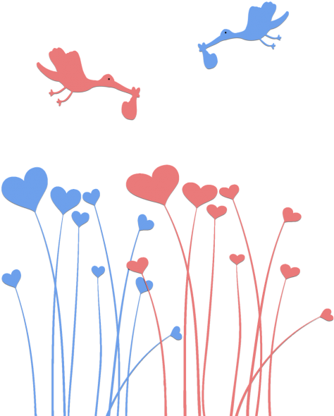 Birth - Nascita Png (500x645)