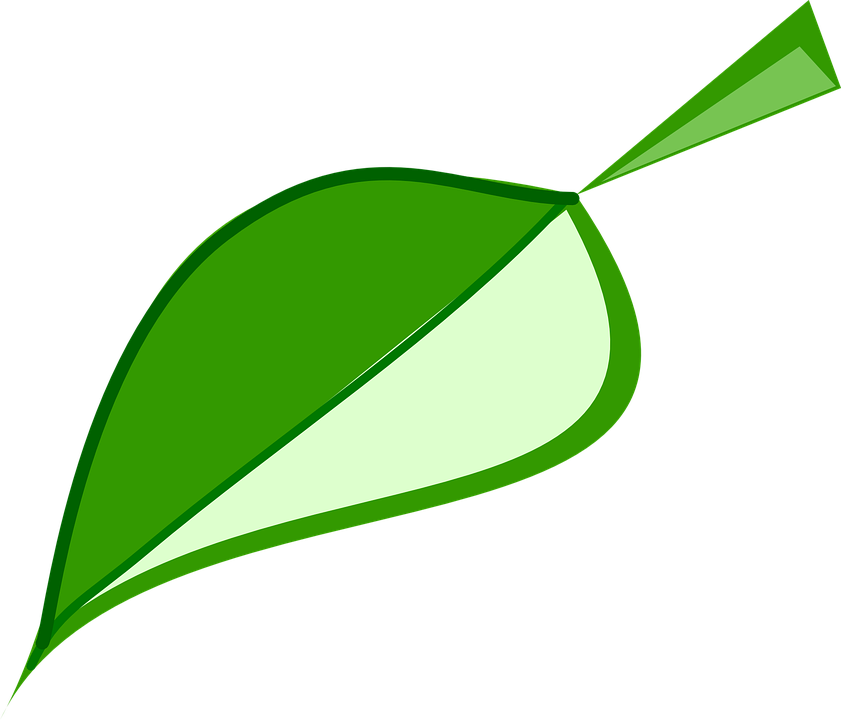 Leaf Green Environment - Hoja Verde Medio Ambiente (841x720)