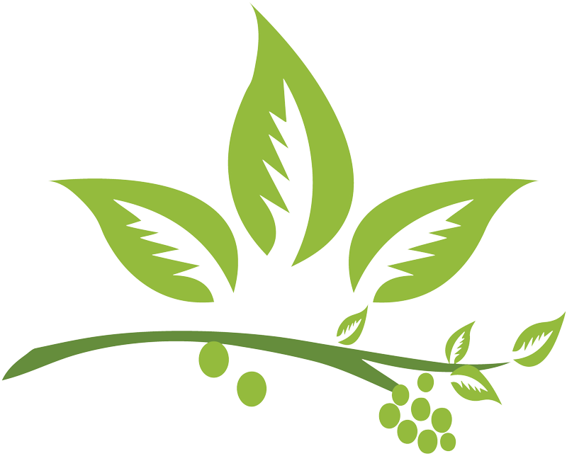 Home Natural Herbal Hair - Herbal Vector Png (800x644)