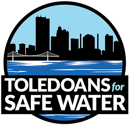 Www - Lakeerieaction - Org - Toledo Ohio Skyline 18 (425x425)