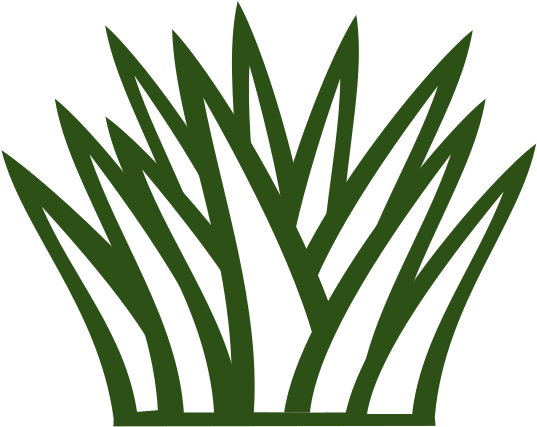 Green Bush Clip Art (588x597)