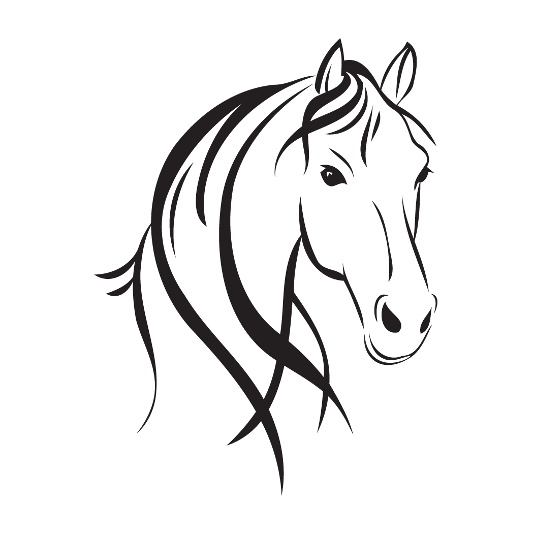 Horse Head Style - Horse Head Outline Drawing (1051x1051)