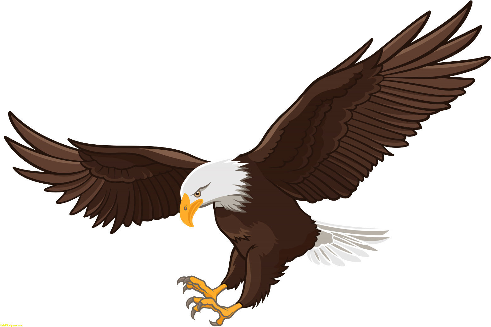 Svg Download Falcon Clipart Eagle Landing - Transparent Background Eagle Clipart (1600x1071)
