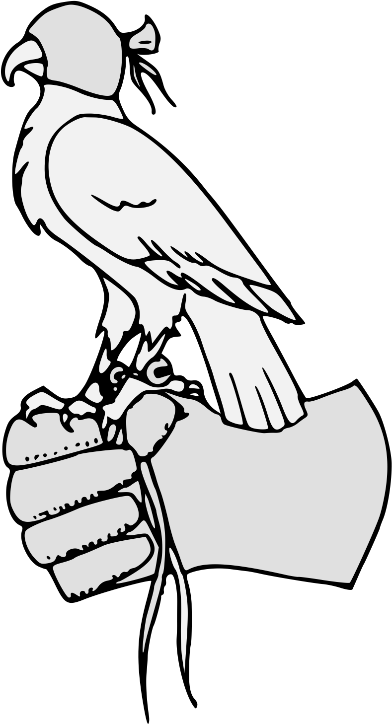 Pdf - Parrot (918x1481)