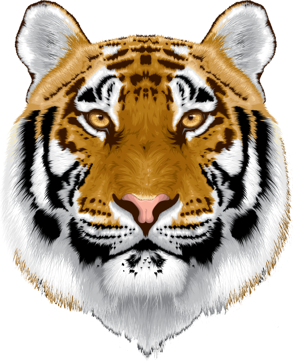 Tiger Head Clip Art Head Exploding Clip Art Headache - Tiger Head Image In Png (1025x1266)