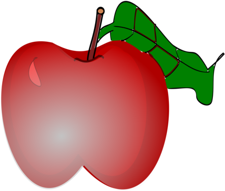 All Photo Png Clipart - Apple (530x750)