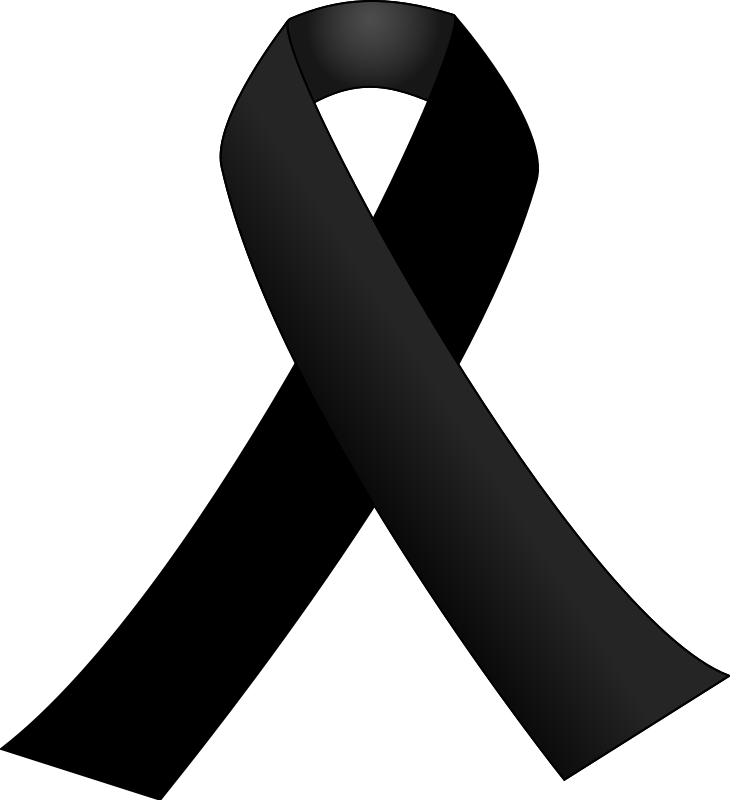 Black Ribbon - Black Ribbon Mourning Png (730x800)