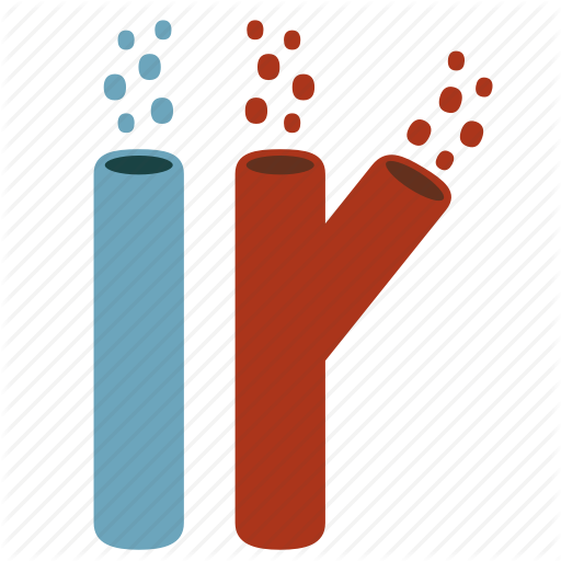Blood Vessel Icon Clipart Blood Vessel Computer Icons - Blood Vessels Clipart Png (512x512)