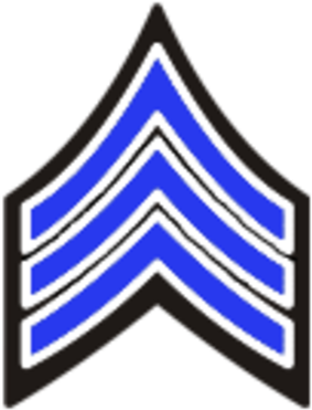 Nypd Sergeant Stripes Clipart Sergeant New York City - Police Sergeant Stripes (300x400)