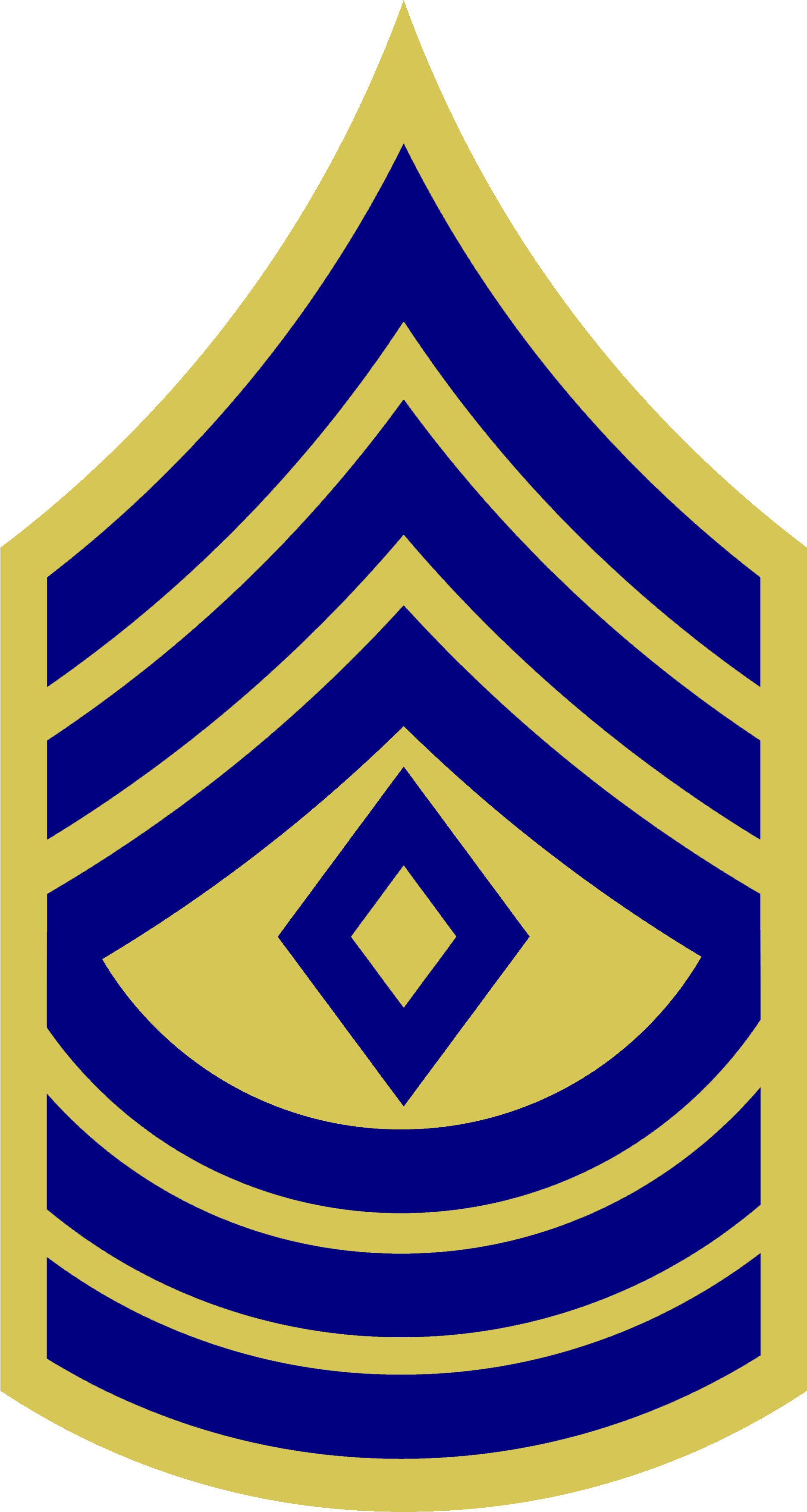 File Sgt Combat Wikimedia - First Sergeant (1876x3516)