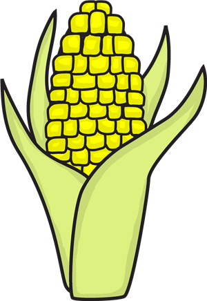 Apple Corn - Maize (300x436)