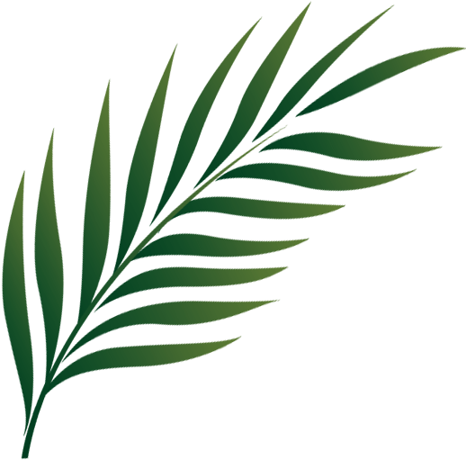 Go To Image - Palm Leaf Icon Png (575x575)