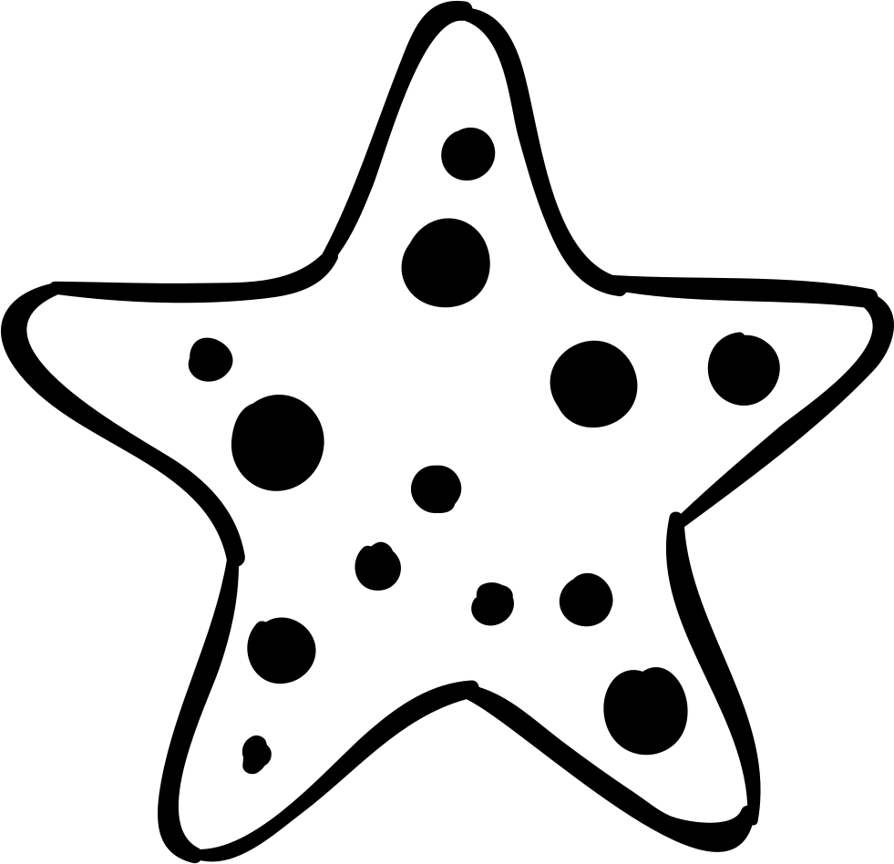 Starfish Clipart Normal - Scalable Vector Graphics (981x948)
