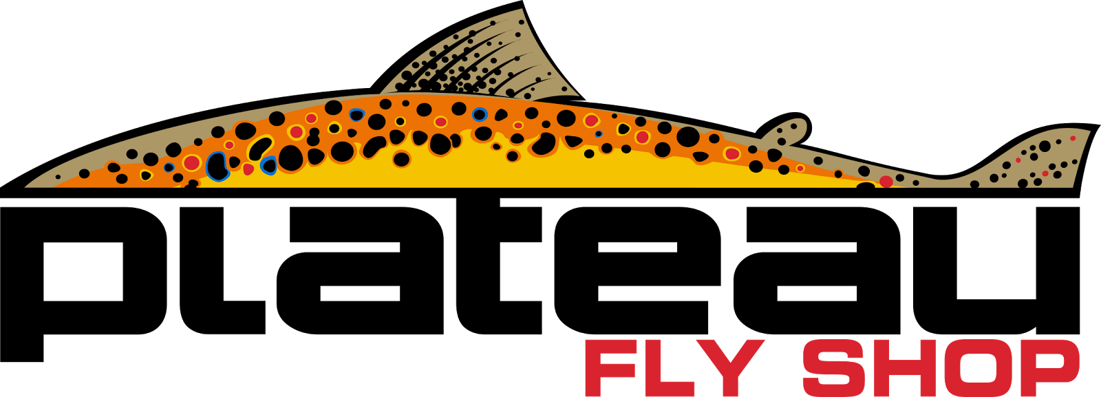 Spey Casting W/ Frank Smethurst - Plateau Fly Shop (1600x577)